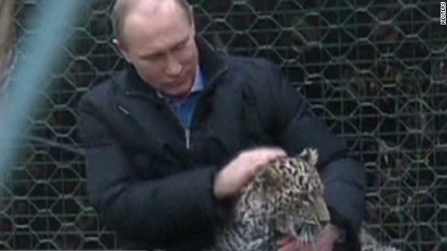 Putin cozies up with snow leopards