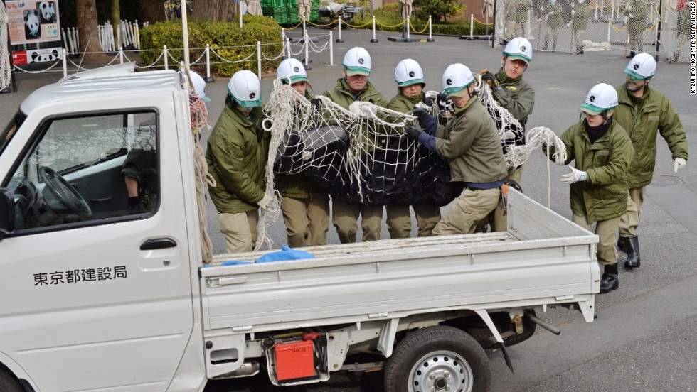 The acting ape was immediately wrapped in a large net and hauled away on a truck.