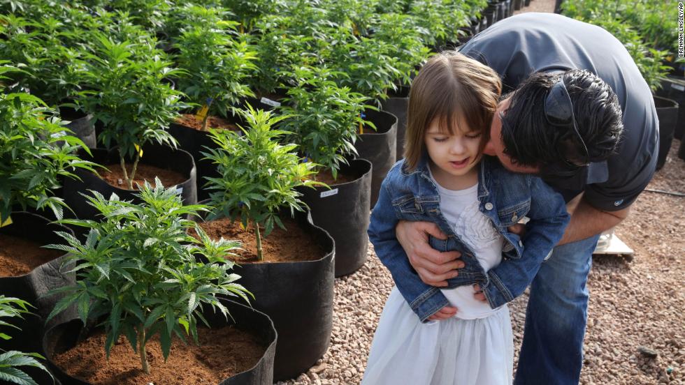 More than 100 families have moved to Colorado to access &quot;Charlotte&#39;s Web,&quot; a cannabis strain that in some &lt;a href=&quot;http://www.cnn.com/2013/08/07/health/charlotte-child-medical-marijuana/&quot;&gt;epileptic children seems to dramatically reduce seizures&lt;/a&gt;. Taken as an oil, the medicine is high in a chemical called CBD and low in THC, the component that makes people &quot;high.&quot; 