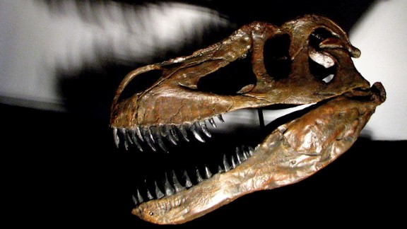 which dinosaur has the biggest skull