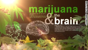 Your brain on marijuana