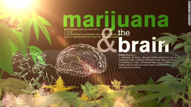 Your brain on weed
