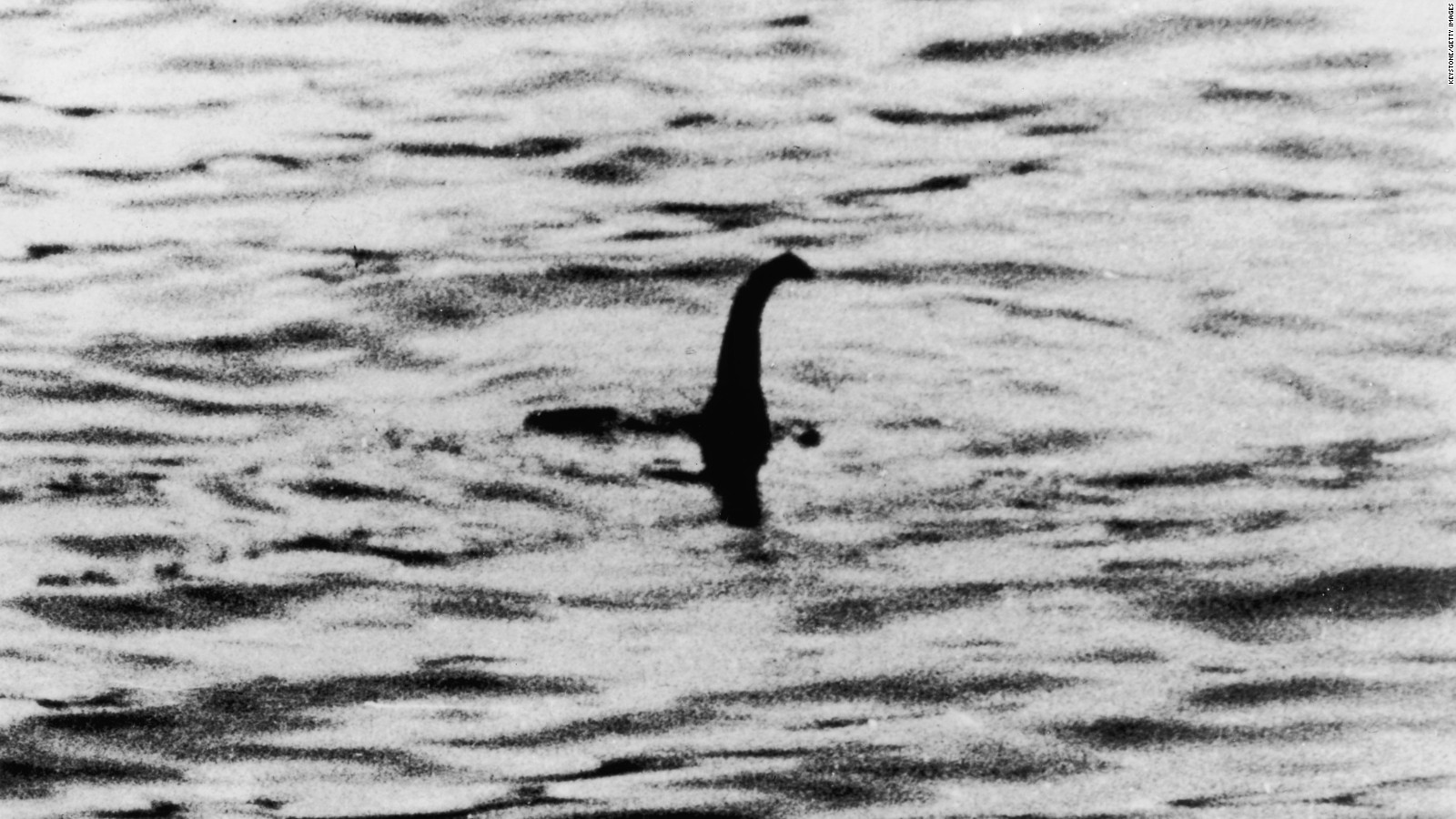 The Loch Ness monster might be a giant eel, scientists say | CNN Travel