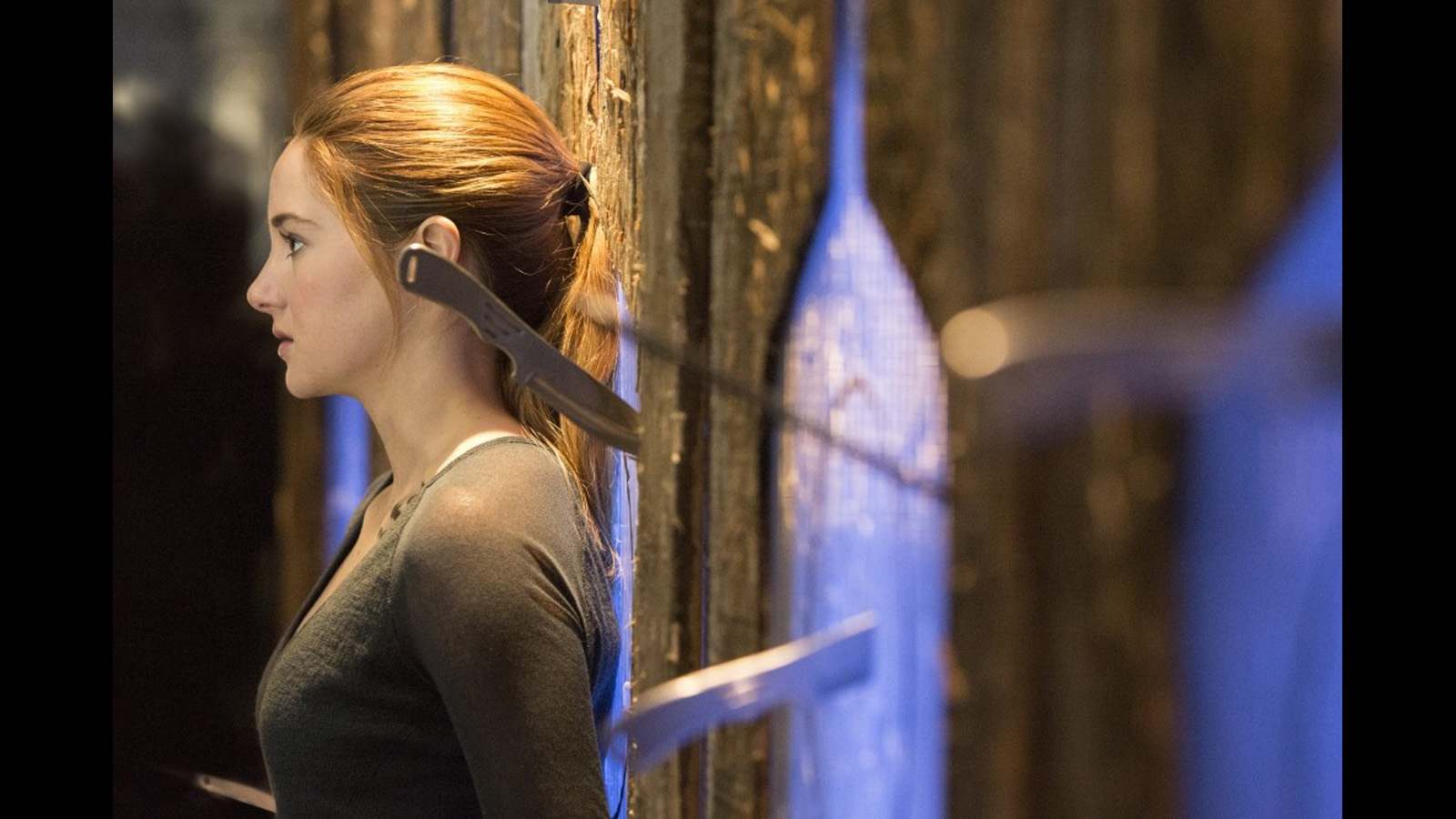 Divergent A Guide To The Newest Ya Movie Craze