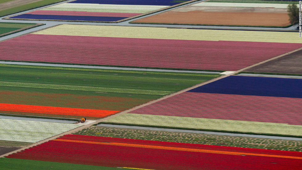 From March through May, millions of tulips draw visitors to Keukenhof Gardens near Lisse, Netherlands.