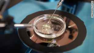 Legal actions grow after loss of frozen embryos