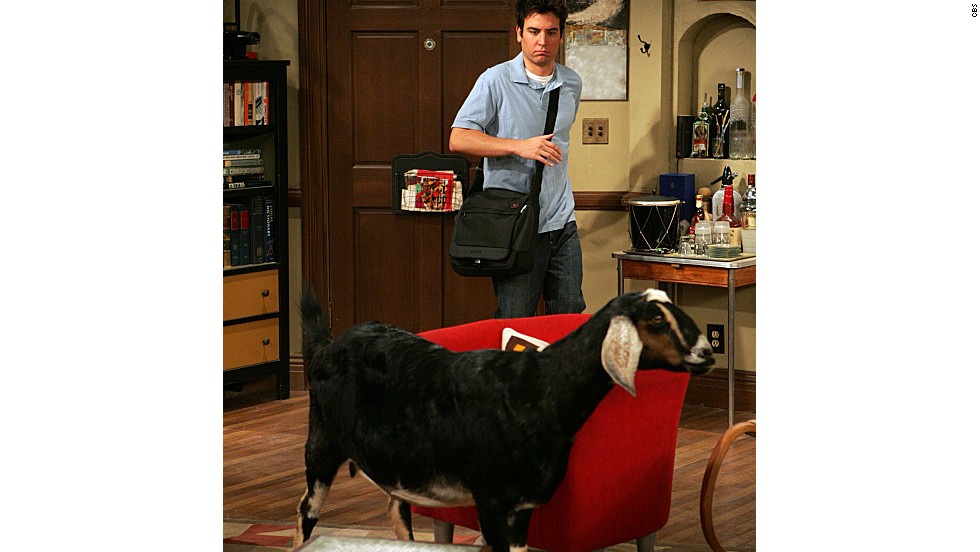 One day, Ted walked into his apartment and found a goat. The explanation of this was held for several episodes, until we learned that Lily rescued the goat from a farmer in her classroom.