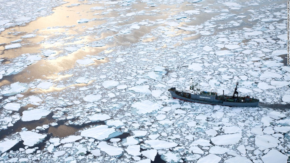 The Japanese whaling ship Yushin Maru No. 1 cuts through the ice flows in the Southern Ocean in Antarctica on January 25, 2011. Japan has hunted for whales extensively in the Southern Ocean, which includes a whale sanctuary.