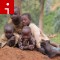 Rwanda pozniak children irpt
