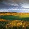 Golf Bucket List - Royal Troon, 14th green