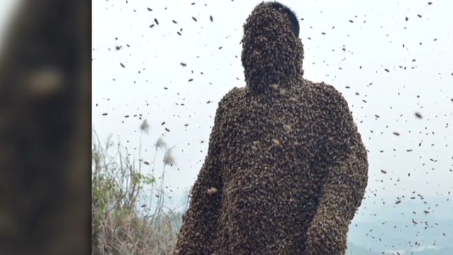 Man Covered In Half A Million Bees Cnn Video