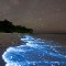 02 stunning nature - glowing plankton - RESTRICTE