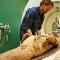 British Museum CT scan mummy