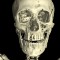 british museum ct scan mummy unknown man teeth