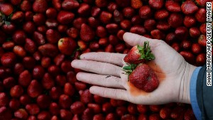 Strawberries remain at top of pesticide list, report says