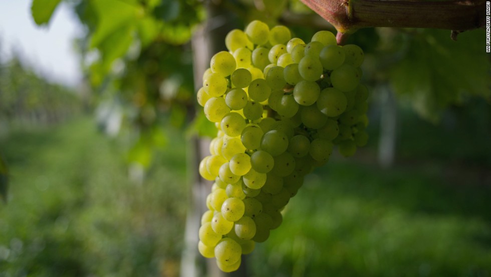 Grapes came in sixth on the list. Since 2004, EWG has used government testing data to report on pesticide levels.  