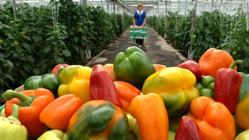 Bell and hot peppers were tested for the first time since 2011-2012, and had more types of pesticides than any other produce. Peppers contained 115 pesticides in total and 21 more pesticides than the crops with the second highest amount -- kale, collard and mustard greens.