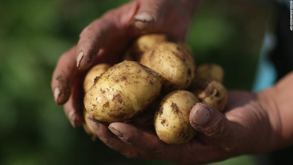 Potatoes cracked the list this year at No. 12. Pears and potatoes were new additions to the Dirty Dozen, displacing cherry tomatoes and cucumbers from last year&#39;s list.