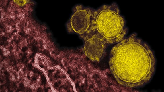 MERS may be airborne, scientists say - CNN