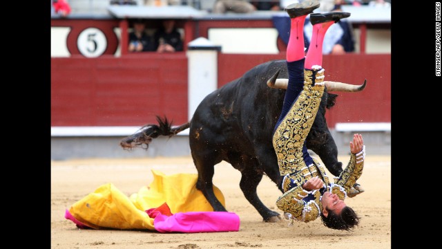 Bulls take down bullfighters but still lose in Spain