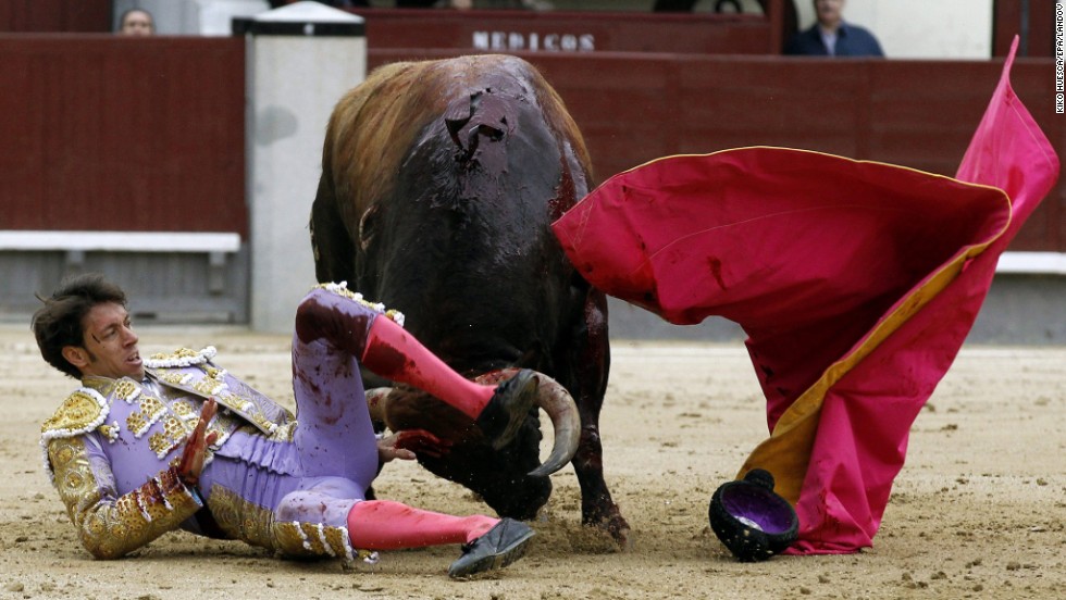 Nazare is knocked down during his fight at the San Isidro bullfighting festival. 