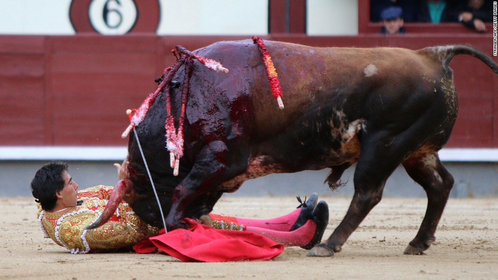 Jimenez faces the bull, which he killed before being taken to the infirmary.