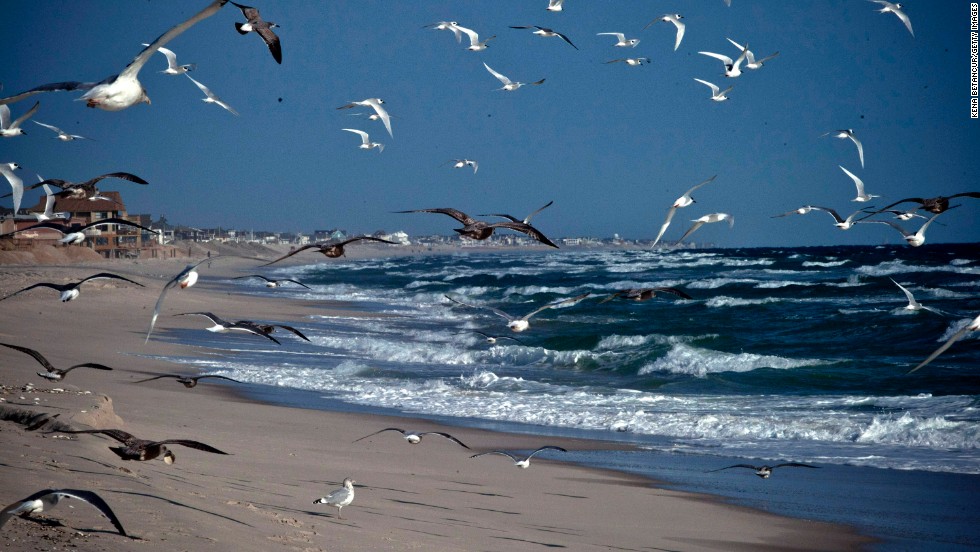 Seagulls fly along the beach in Seaside Heights, New Jersey, a year after Superstorm Sandy damaged the coastal areas in October 2012. 