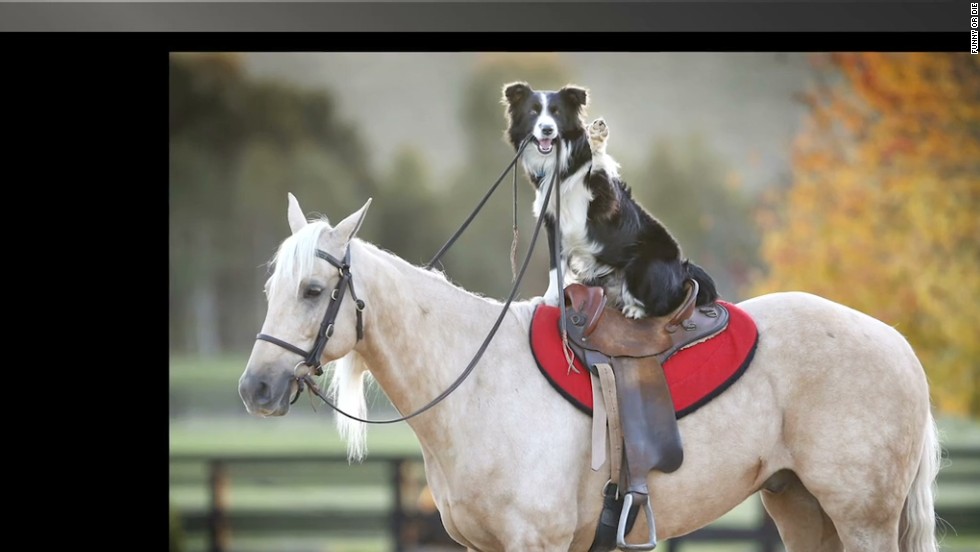 This is why the Web is awesome - CNN Video This is why the Web is awesome - CNN Video
