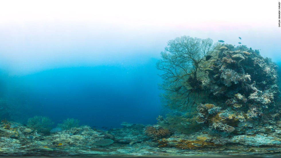 Panoramic view of the Coral Triangle