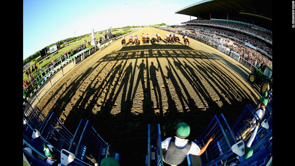 Horses sprint away from the starting gate in the Belmont Stakes, which took place Saturday, June 7, in Elmont, New York. Tonalist won the race, preventing California Chrome from winning the Triple Crown.