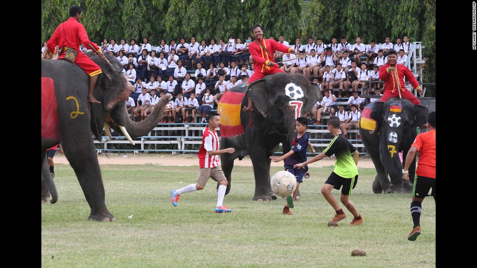 Thai youth go for the ball during a soccer match between people and elephants Monday, June 9, at the Ayutthaya Elephant Camp in Thailand&#39;s Ayutthaya province. The match was organized by the camp to celebrate the upcoming World Cup in Brazil.