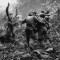 10 iconic vietnam war RESTRICTED