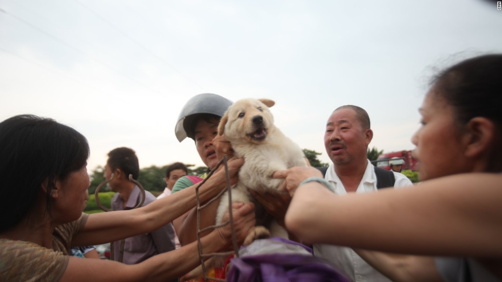 Undeterred Chinese Festival Serves Up Dog And Cat Meat Cnn