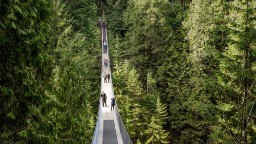 British Columbia's Capilano Suspension Bridge is only a few minutes away from Vancouver's city center. Built in 1889, it stretches 137 meters across and 70 meters above the Capilano River. 