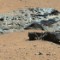 Iron Meteorite on Mars