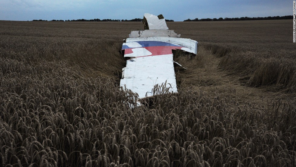 A large piece of the plane lies on the ground.