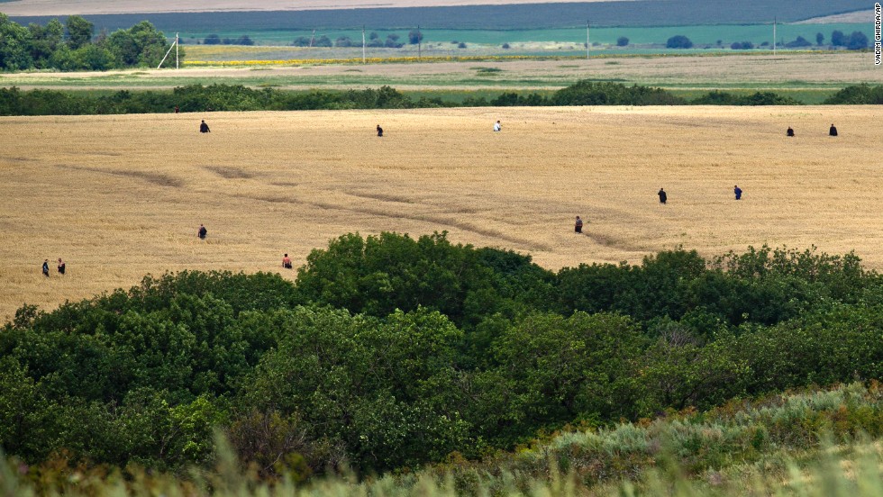 People search a wheat field for remains in the area of the crash site on July 20, 2014. 