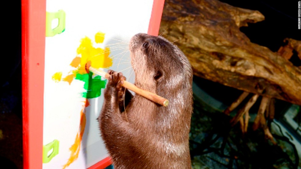 https://cdn.cnn.com/cnnnext/dam/assets/140728165746-dubai-mall-aquarium-otter-art-horizontal-large-gallery.jpg