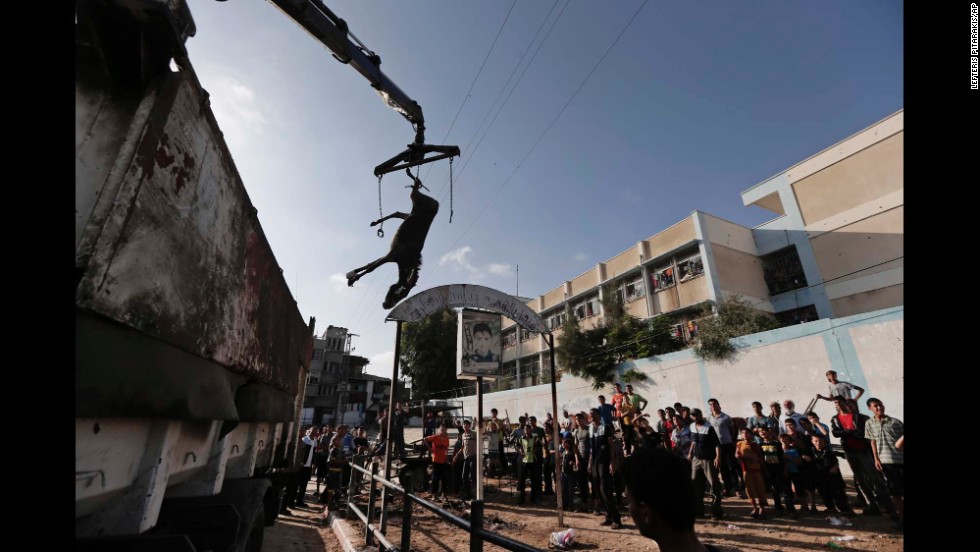 U.N. workers remove a donkey injured at a U.N.-run school in Gaza on Wednesday, July 30.