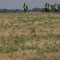 01 mh17 wreckage