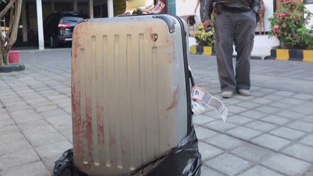 case 2 case luggage