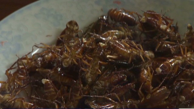 Image result for cockroach soup
