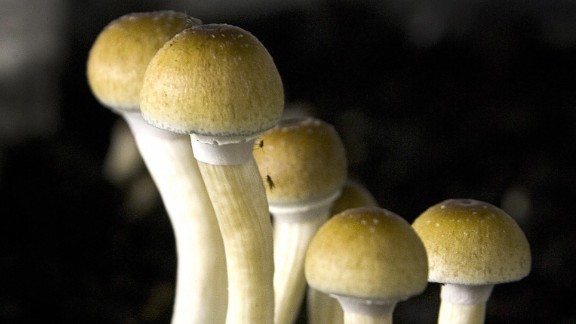 Psilocybin Could Free The Mind Of Depression Addictions Cnn