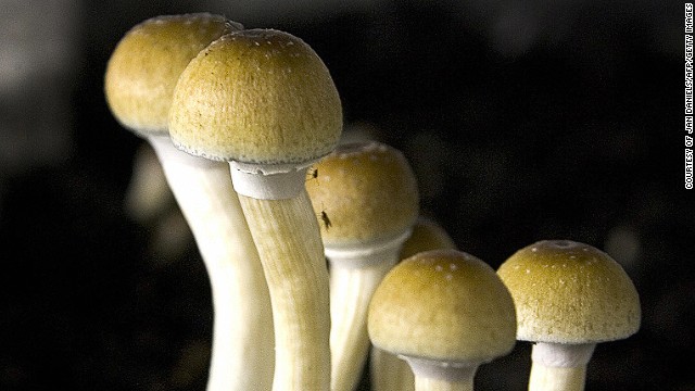 Forget weed. Some Oregonians want to legalize psychedelic mushrooms