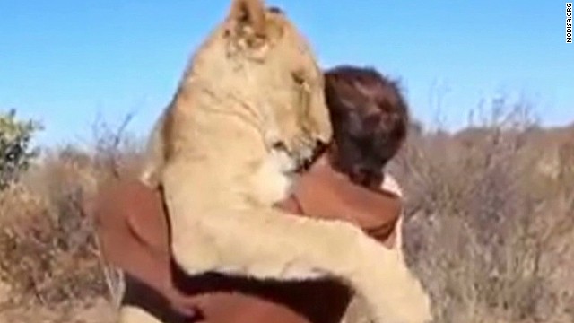 hugfun lion