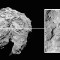 Rosetta Philae landing site