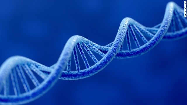 Scientists sequence the complete human genome for the first time – CNN