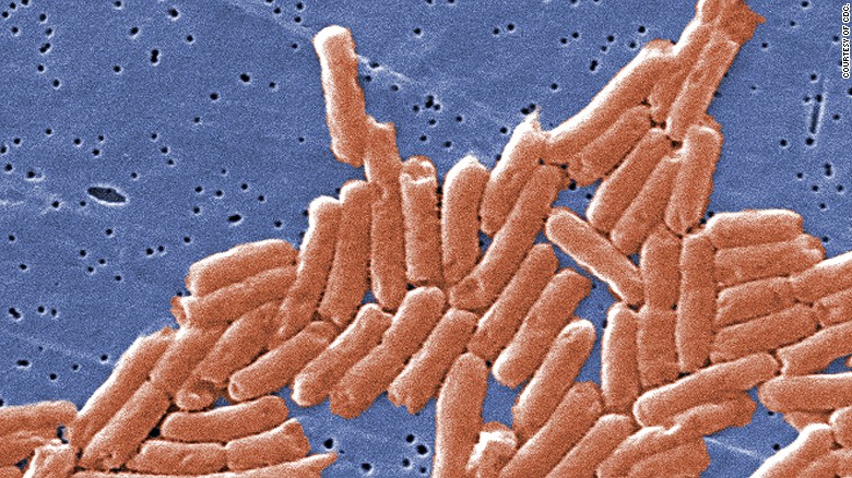 Salmonella 101: What you need to know
