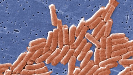 Salmonella enterica bacteria become more virulent and therefore better at causing disease in the micrograity environment of space. 