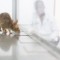 Apopo African giant pouched rats in lab